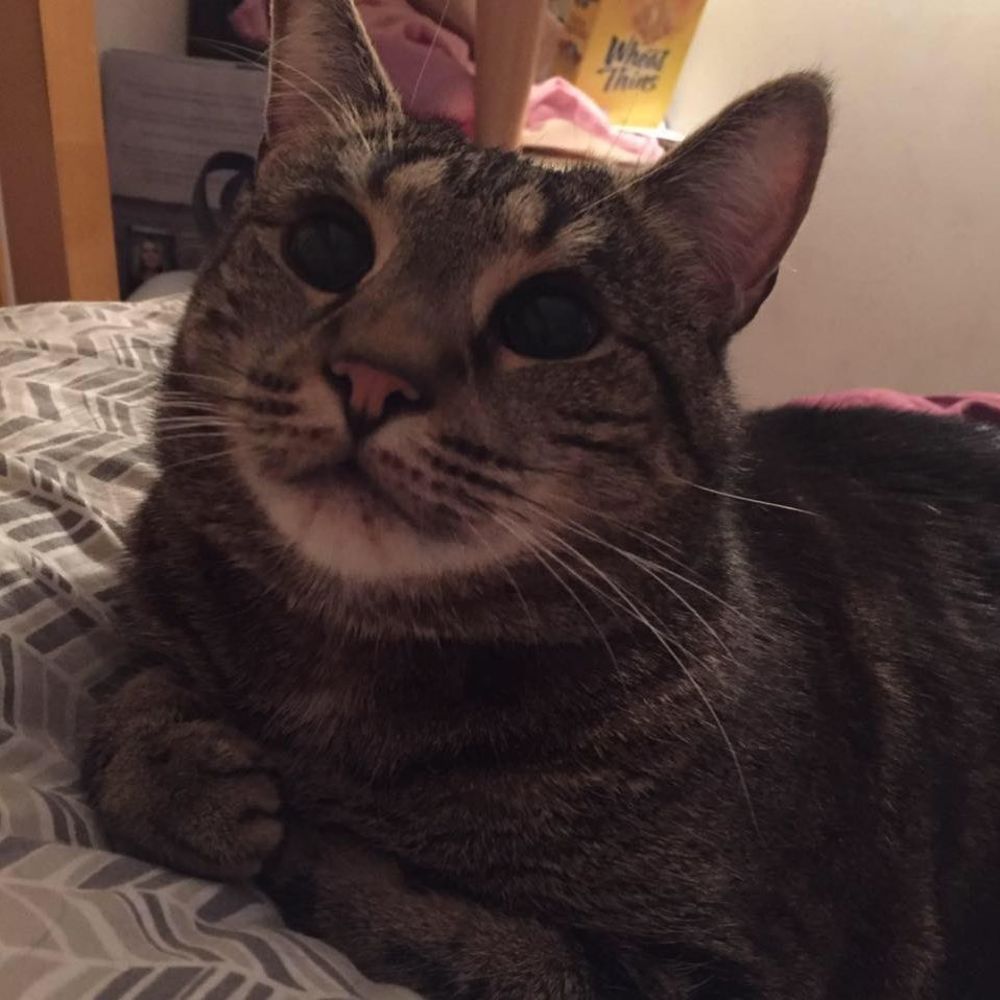 Meet your Posher, Michelle